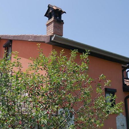 Apartment Kornarija Buje Zewnętrze zdjęcie