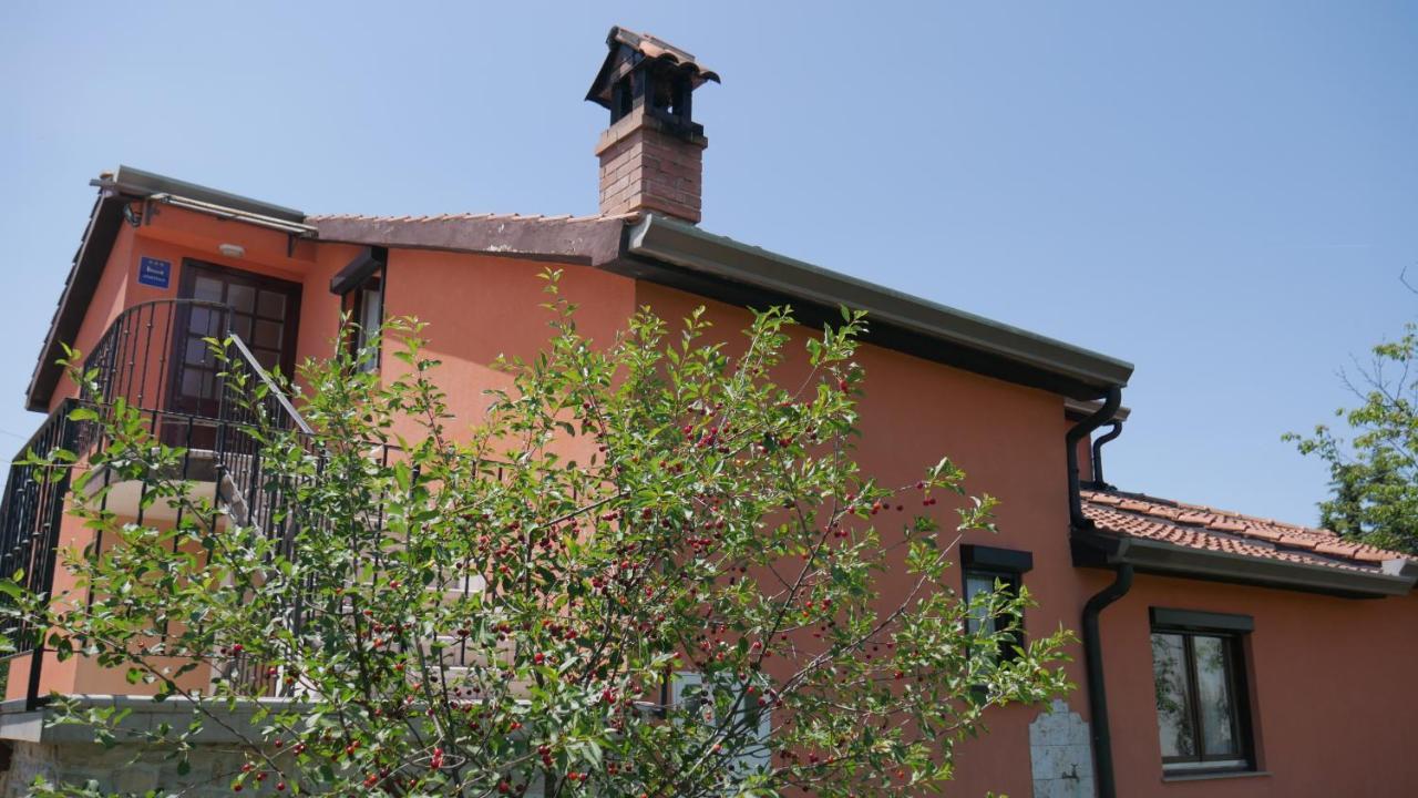 Apartment Kornarija Buje Zewnętrze zdjęcie