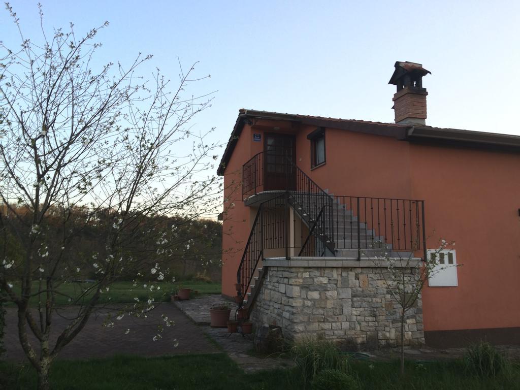 Apartment Kornarija Buje Zewnętrze zdjęcie